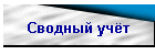 Сводный учёт